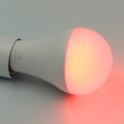 LED RGBW Reguliuojama lemputė A60 E27/15W/230V 2700-6500K Wi-Fi Tuya