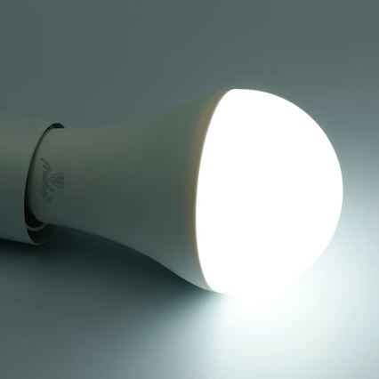 LED RGBW Reguliuojama lemputė A60 E27/15W/230V 2700-6500K Wi-Fi Tuya