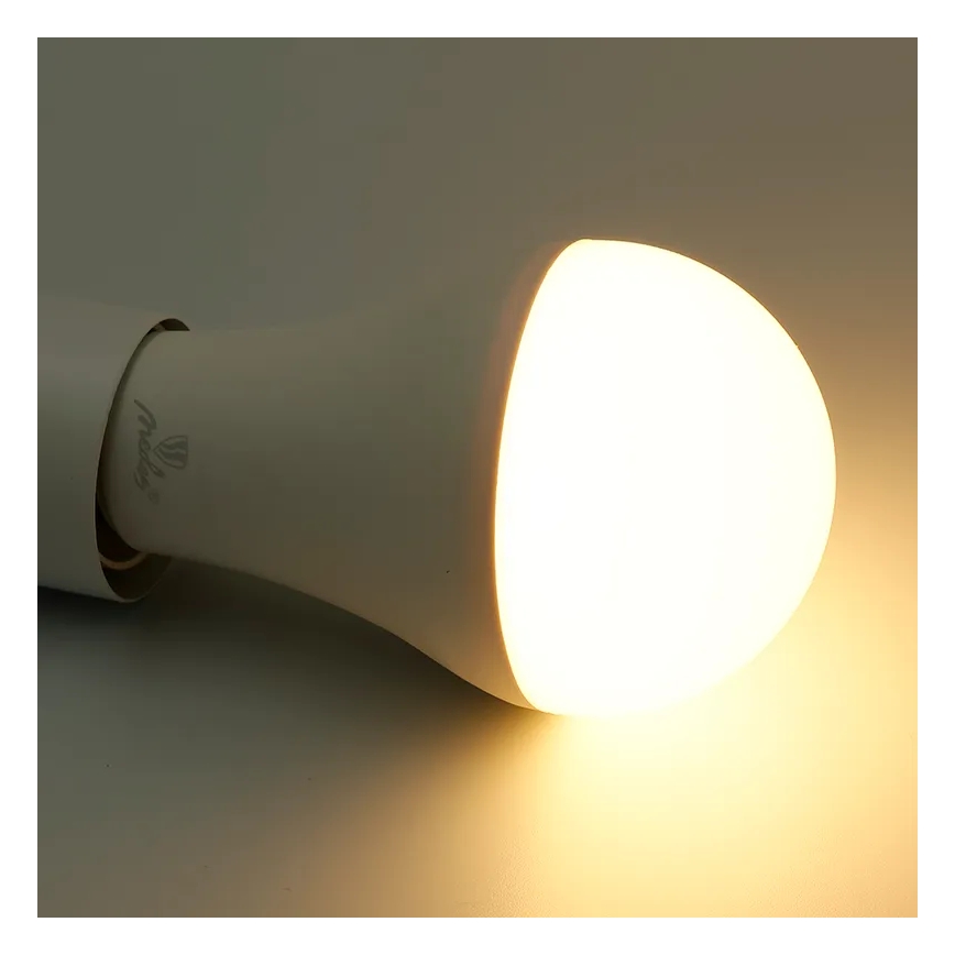 LED RGBW Reguliuojama lemputė A60 E27/15W/230V 2700-6500K Wi-Fi Tuya