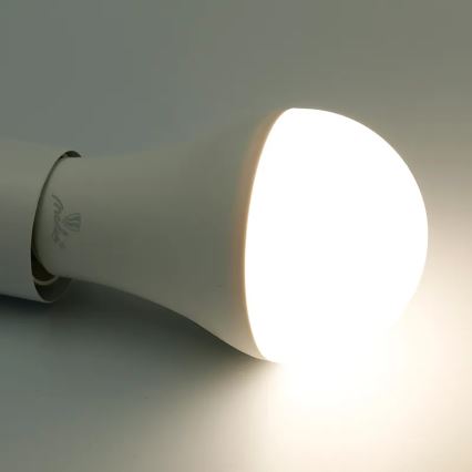 LED RGBW Reguliuojama lemputė A60 E27/15W/230V 2700-6500K Wi-Fi Tuya