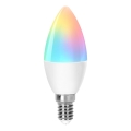 LED RGBW Reguliuojama lemputė C37 E14/4,9W/230V 2700-6500K - Aigostar