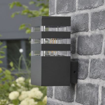 LED RGBW dimeriuojamas lauko sieninis šviestuvas TEKSAS 1xE27/9W/230V 2700-6500K Wi-Fi IP44 antracitas