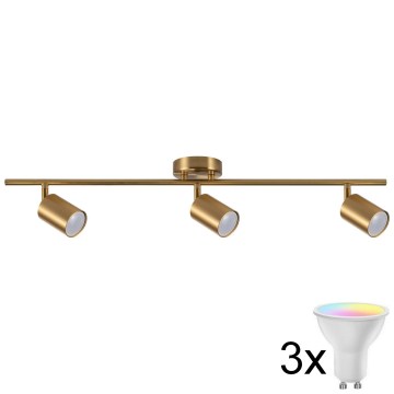 LED RGBW reguliuojamas taškinis šviestuvas GOLDIE 3xGU10/4,8W/230V 3000K auksinis + nuotolinis valdymas