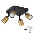 LED RGBW reguliuojamas taškinis šviestuvas TOP 4xGU10/6,5W/230V 2700-6500K auksinis/juodas