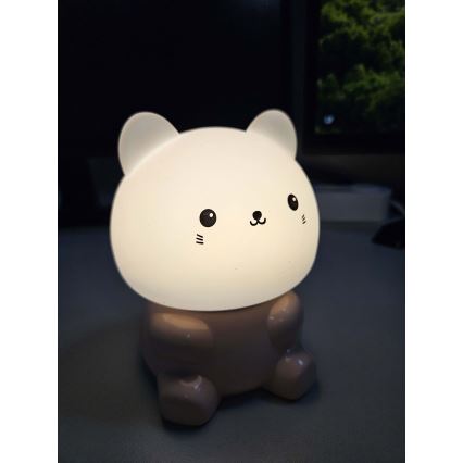 LED RGBW Vaikiškas jutiklinė lempa LED/1W/5V USB 1200 mAh kočka