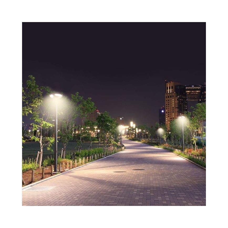 LED Saulės energijos gatvės lempa su jutikliu LED/10W/3,2V IP65 4000K 15000 mAh + nuotolinio valdymo pultas