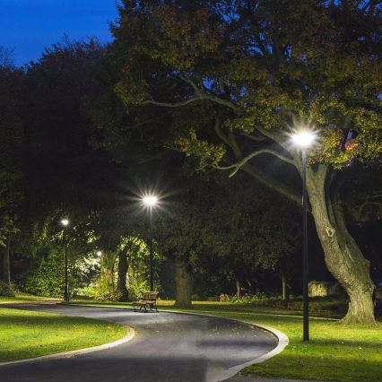 LED Saulės energijos gatvės lempa su jutikliu LED/7,5W/3,2V IP65 4000K 15000 mAh + nuotolinio valdymo pultas