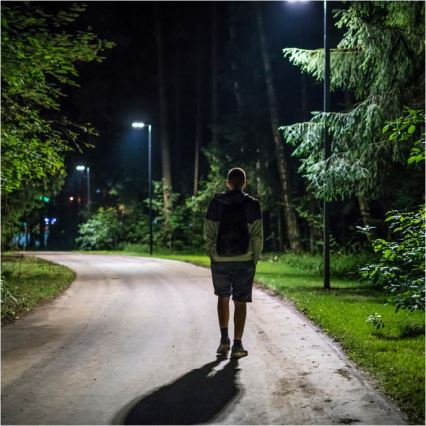 LED reguliuojama saulės gatvės lempa su jutikliu URBI LED/11W/3,2V 6500K 15000 mAh IP54 + nuotolinis valdymas