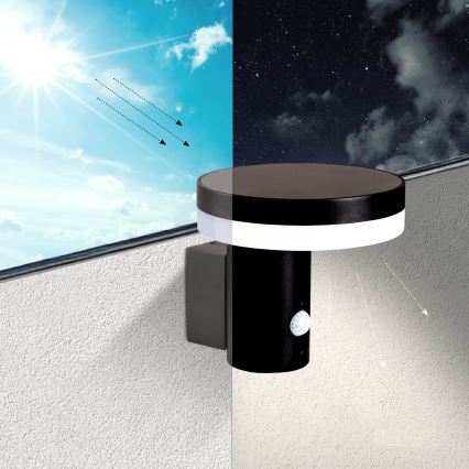 LED Saulės sieninis šviestuvas su jutikliu SOLARIS3 LED/5,5W/3,7V 4000K IP44 2600 mAh