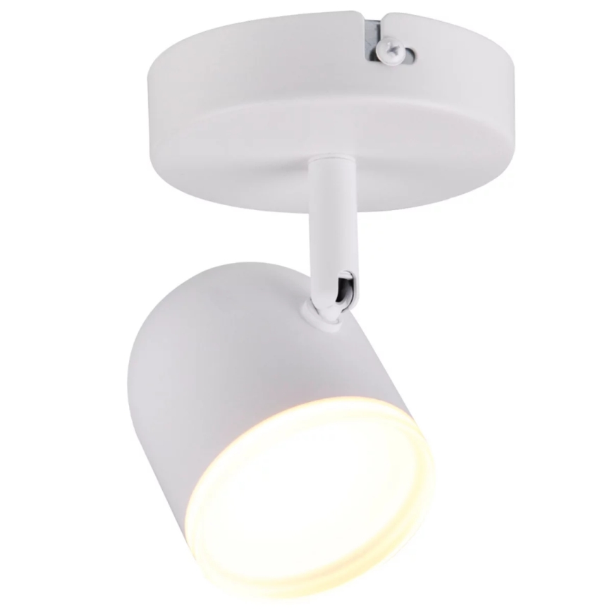 LED Sieninis akcentinis šviestuvas RAWI LED/4,2W/230V baltas