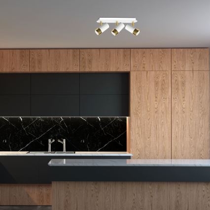 LED Sieninis kryptinis šviestuvas DANI 3xGU10/8W/230V
