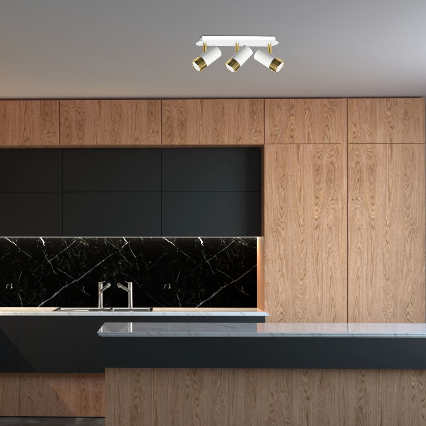 LED Sieninis kryptinis šviestuvas DANI 3xGU10/8W/230V