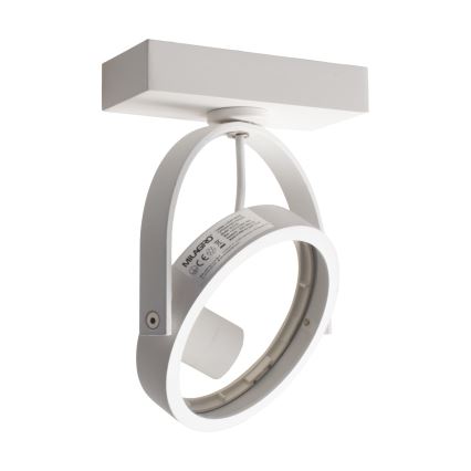 LED Sieninis kryptinis šviestuvas LUGAR 1xAR111 - GU10/25W/230V