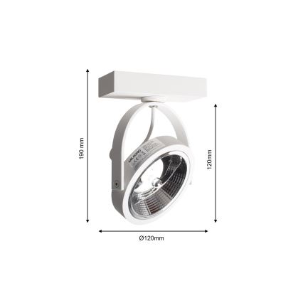 LED Sieninis kryptinis šviestuvas LUGAR 1xAR111 - GU10/25W/230V