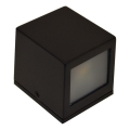 LED sieninis lauko šviestuvas 2xLED/5W/230V 4000K IP54 juoda