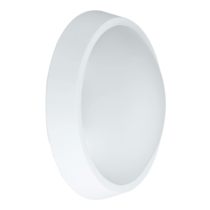 LED sieninis lauko šviestuvas BULKHEAD LED/30W/230V 4000K IP54 balta
