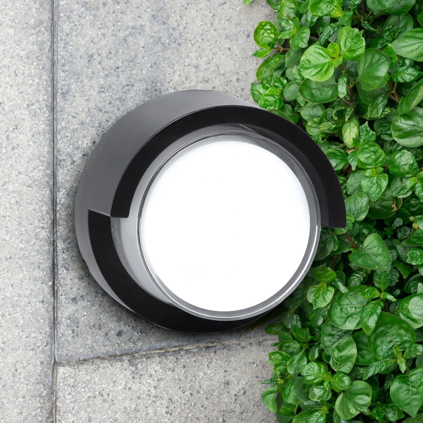 LED sieninis lauko šviestuvas ESSEN LED/10W/230V IP44 juoda