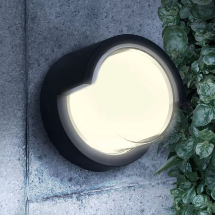 LED sieninis lauko šviestuvas ESSEN LED/10W/230V IP44 juoda