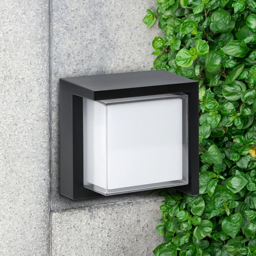 LED sieninis lauko šviestuvas ESSEN LED/12W/230V IP44 juoda