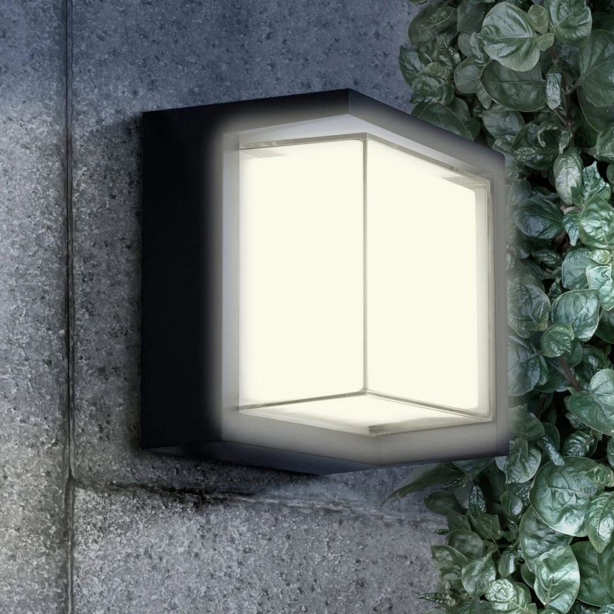 LED sieninis lauko šviestuvas ESSEN LED/12W/230V IP44 juoda