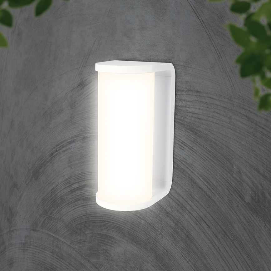 LED sieninis lauko šviestuvas LED/12W/230V 3000/4200/6500K IP65 balta
