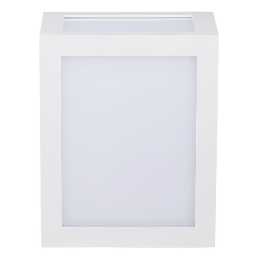 LED sieninis lauko šviestuvas LED/12W/230V 3000K IP65 balta