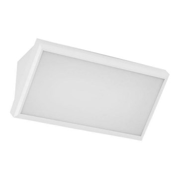 LED Sieninis lauko šviestuvas LED/12W/230V 3000K IP65 baltas