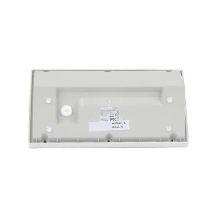 LED Sieninis lauko šviestuvas LED/12W/230V 3000K IP65 baltas