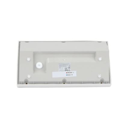 LED Sieninis lauko šviestuvas LED/12W/230V 4000K IP65 baltas