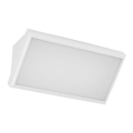 LED Sieninis lauko šviestuvas LED/12W/230V 6400K IP65 baltas