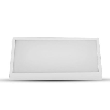 LED Sieninis lauko šviestuvas LED/12W/230V 6400K IP65 baltas