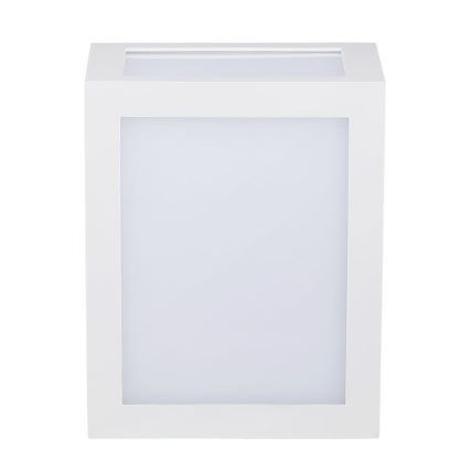 LED sieninis lauko šviestuvas LED/12W/230V IP65 4000K balta