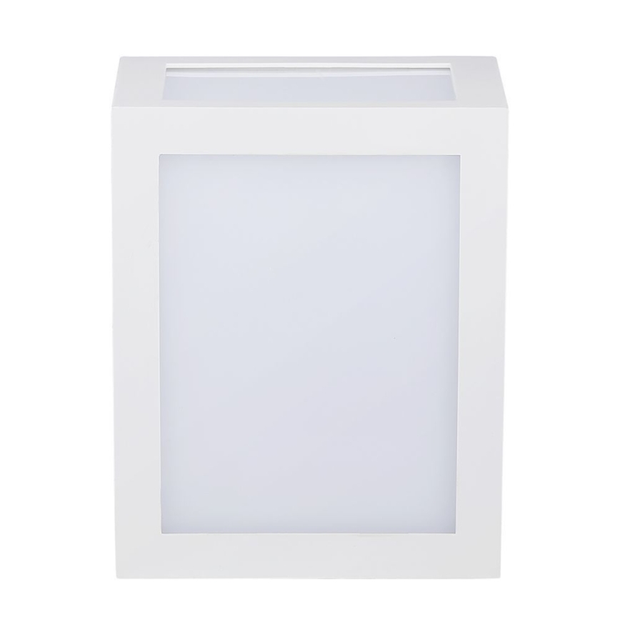 LED sieninis lauko šviestuvas LED/12W/230V IP65 4000K balta