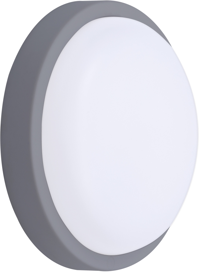 LED sieninis lauko šviestuvas LED/13W/230V 4000K IP54 pilka apvalus