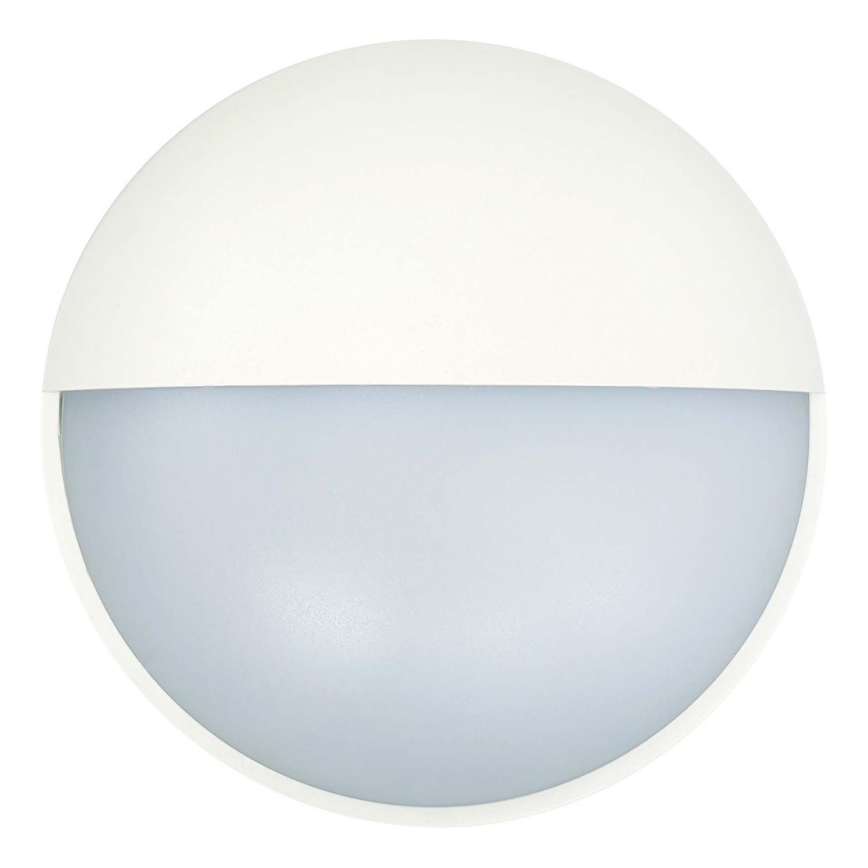 LED sieninis lauko šviestuvas LED/14W/230V IP54 balta