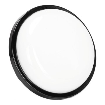 LED sieninis lauko šviestuvas LED/15W/230V 6500K diametras 15,5 cm juoda IP65