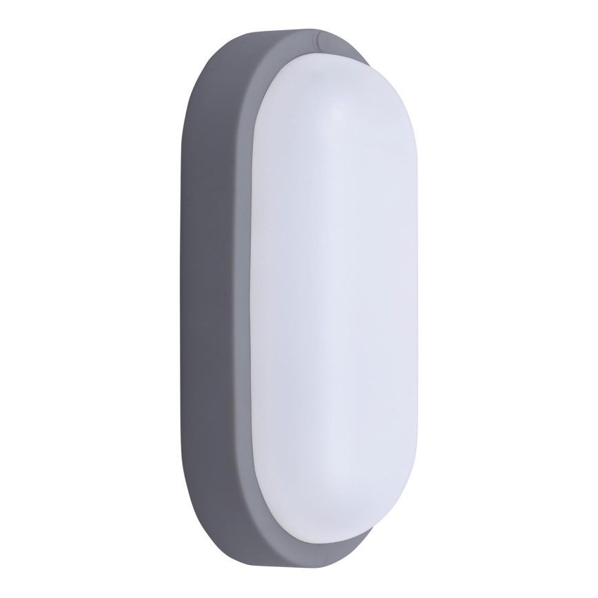 LED sieninis lauko šviestuvas LED/20W/230V 4000K IP54 pilka ovalas