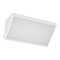 LED Sieninis lauko šviestuvas LED/20W/230V 6400K IP65 baltas