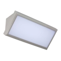 LED Sieninis lauko šviestuvas LED/20W/230V 6400K IP65