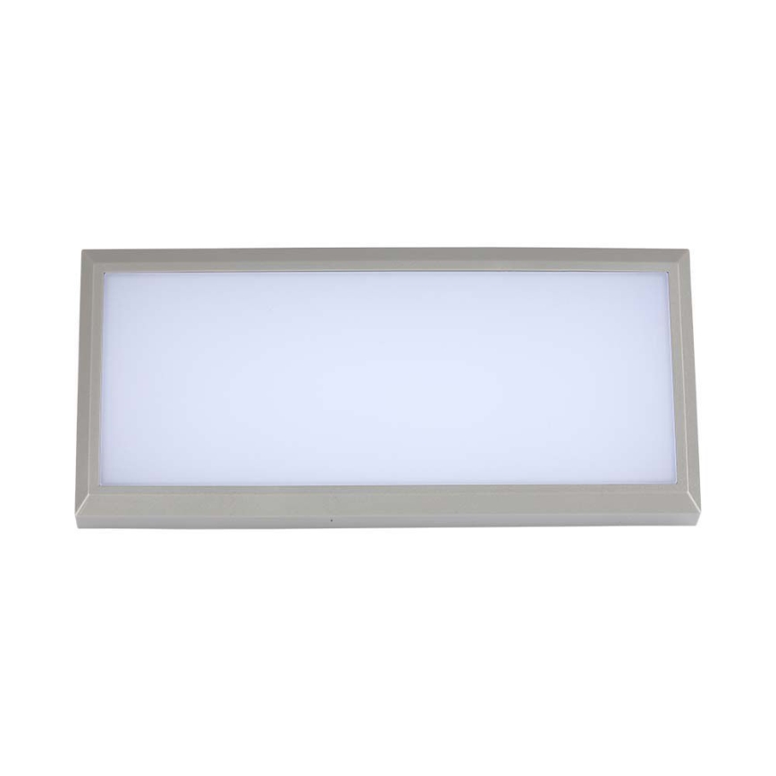 LED Sieninis lauko šviestuvas LED/20W/230V 6400K IP65
