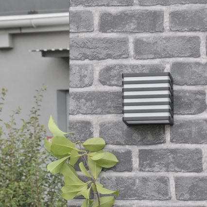 LED sieninis lauko šviestuvas MAXWELL LED/10W/230V IP54 grafitas