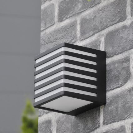 LED sieninis lauko šviestuvas MAXWELL LED/10W/230V IP54 grafitas