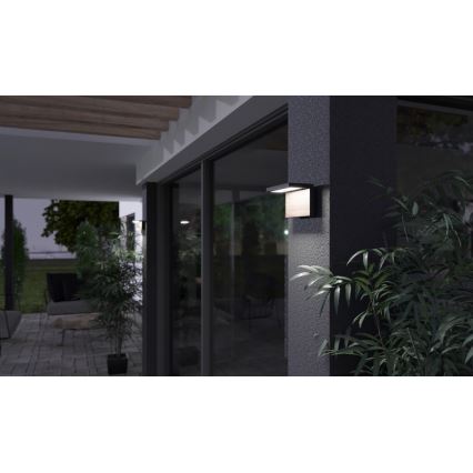 LED sieninis lauko šviestuvas NATURA LED/12W/230V 4000K IP65 ruda/antracitas
