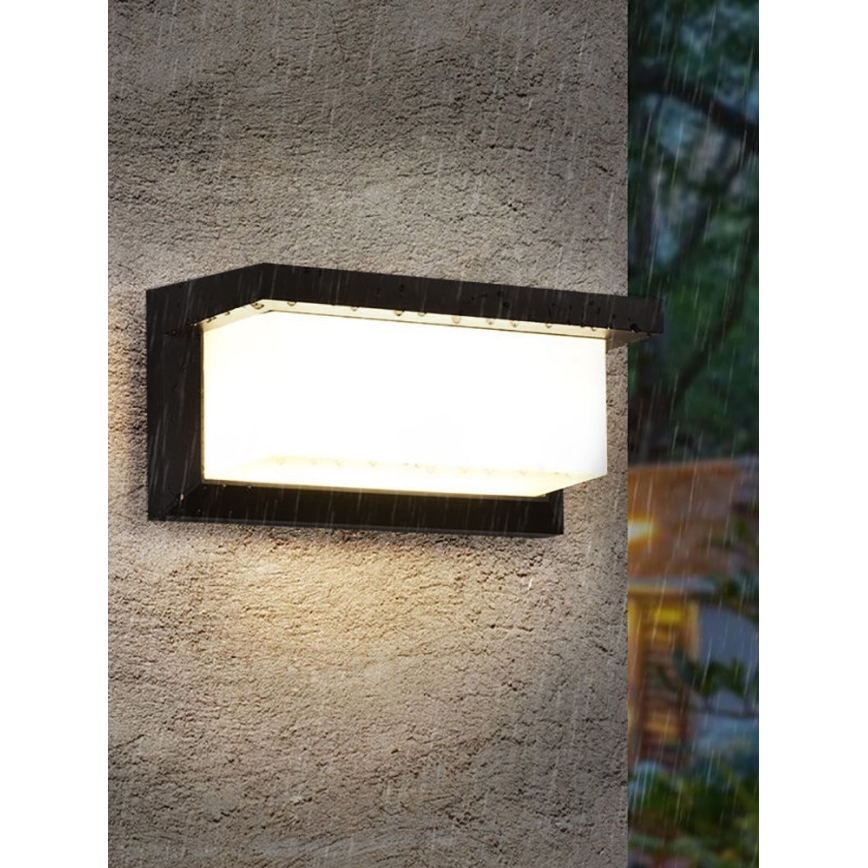 LED sieninis lauko šviestuvas NEELY LED/12W/230V 4000K IP54 juoda
