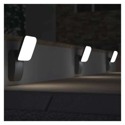 LED sieninis lauko šviestuvas NIKA LED/12,5W/230V IP44