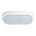 LED sieninis lauko šviestuvas OVAL LED/18W/230V IP54