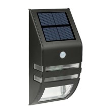 LED Sieninis saulės energijos šviestuvas su jutikliu LED/3,7V IP44 juodas