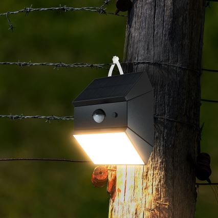 LED sieninis saulės šviestuvas su jutikliu LED/2,5W/3,7V 3000/4000/6000K IP65 1200 mAh juoda