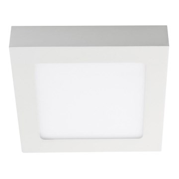 LED Sieninis šviestuvas 1xLED/18W/230V baltas/šilta balta