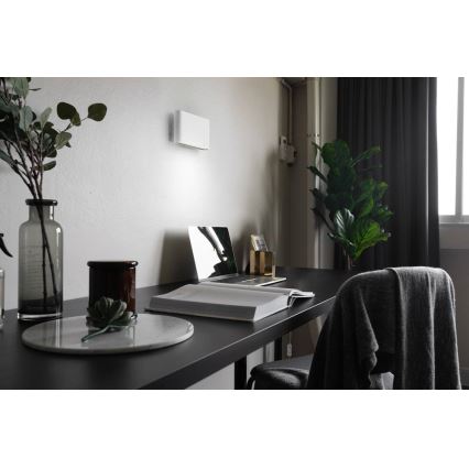 LED Sieninis šviestuvas CARLI 2xLED/10W/230V